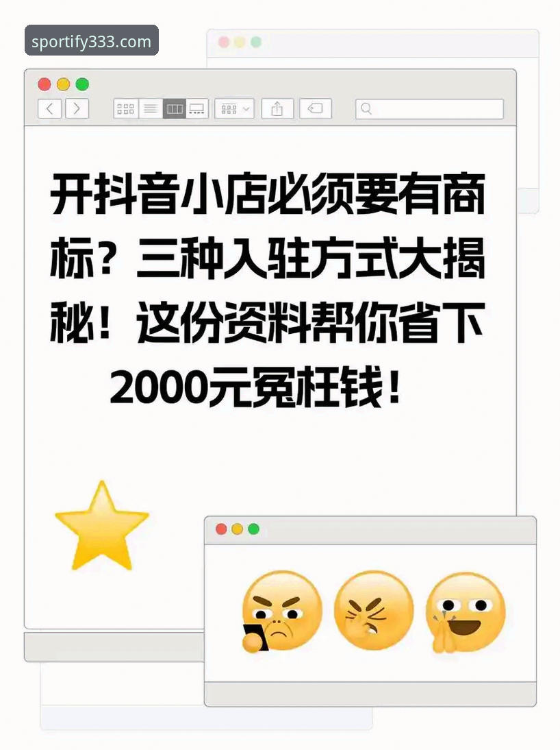 333体育版本更新实战经验：资深用户手把手教你搞定最新版下载与安装